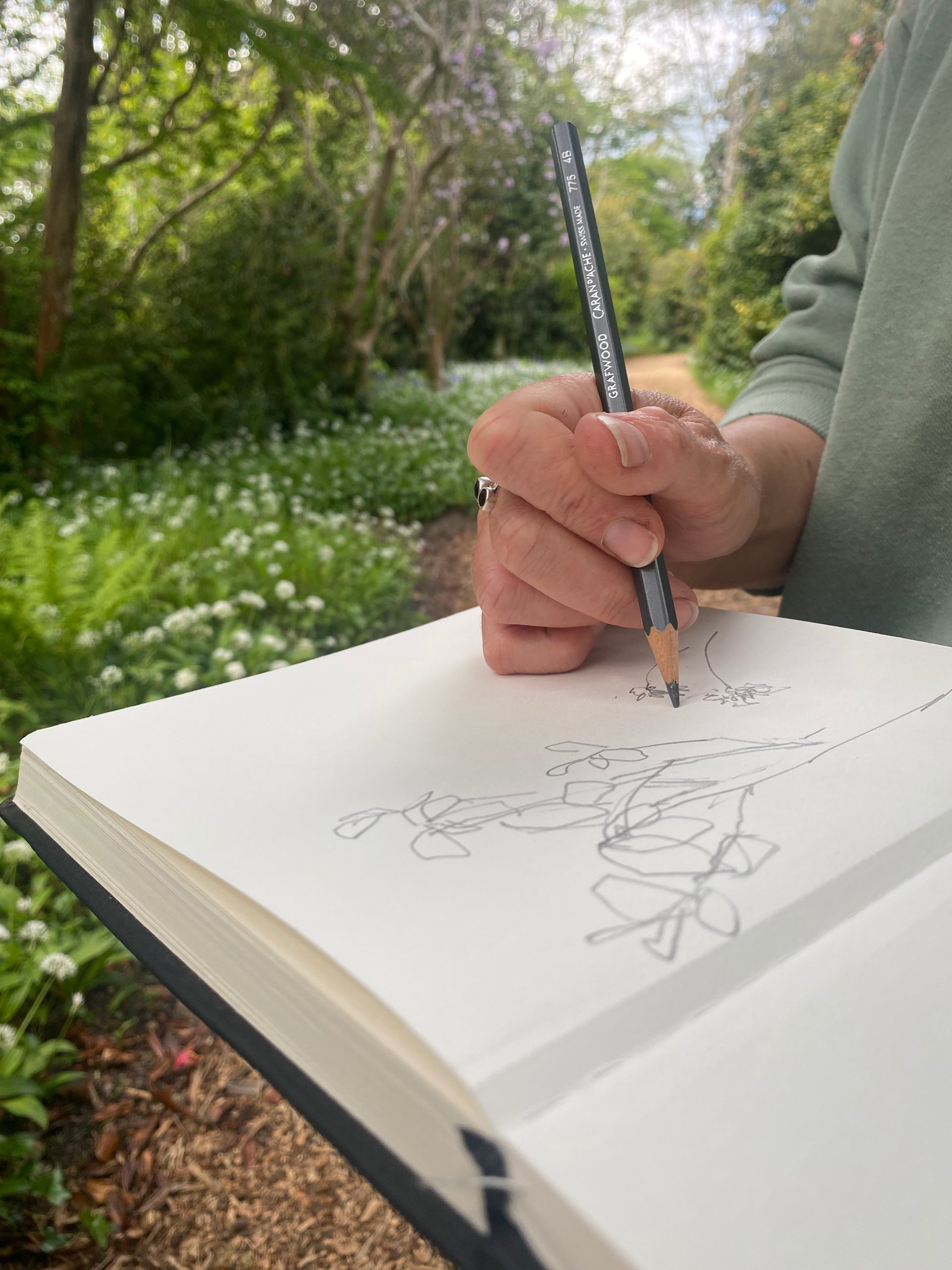 Load video: Outdoor botanical art workshops at Antony Woodland Gardens