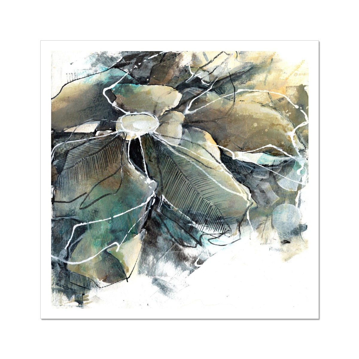Subtle Contrast Fine Art Print